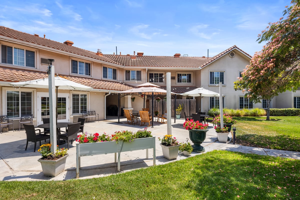The Palms At Bonaventure Featured Image